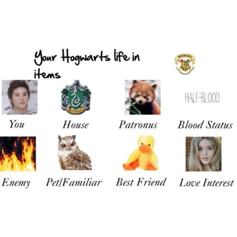 hogwarts life quiz|Hogwarts Life Quizzes .
